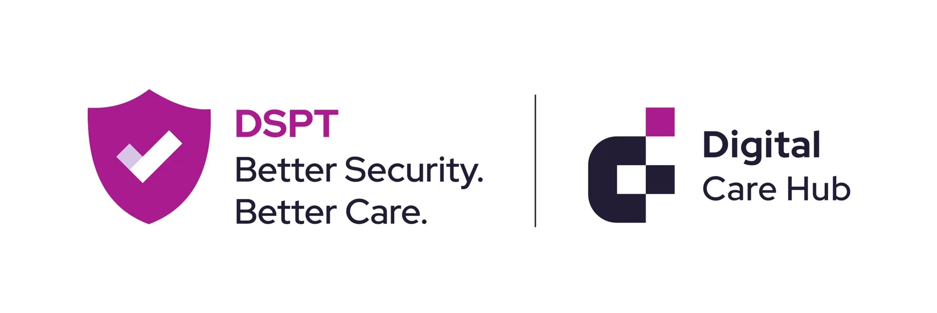 Digital Care Hub & DSPT